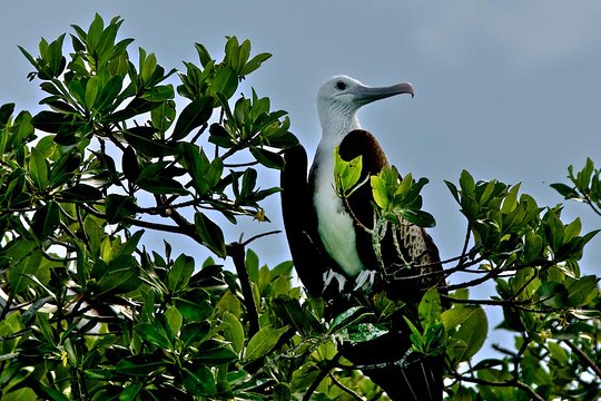 Tour image 6