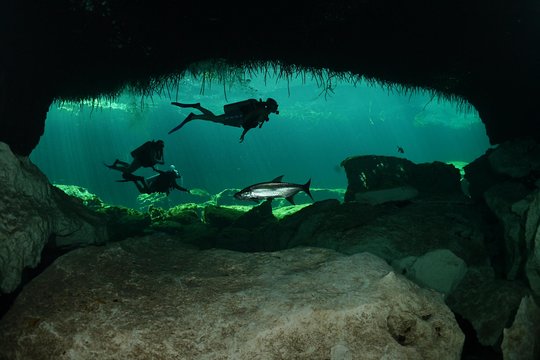 Tour image 6