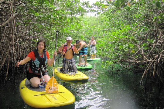 Tour image 6