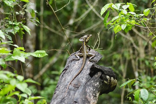 Tour image 10