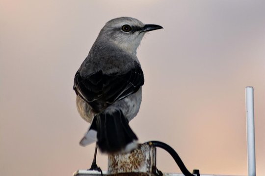 Tour image 11