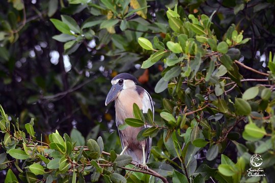 Tour image 10