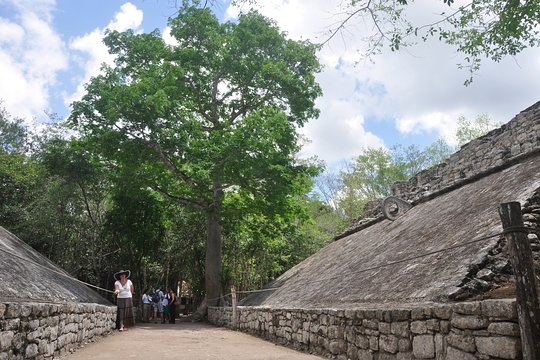 Tour image 6