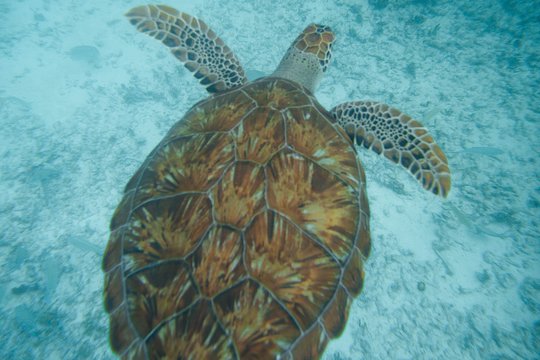 Tour image 7