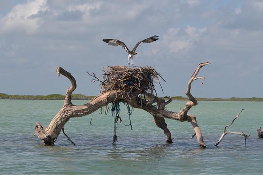 Tour image 5