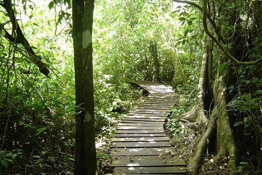 Tour image 8