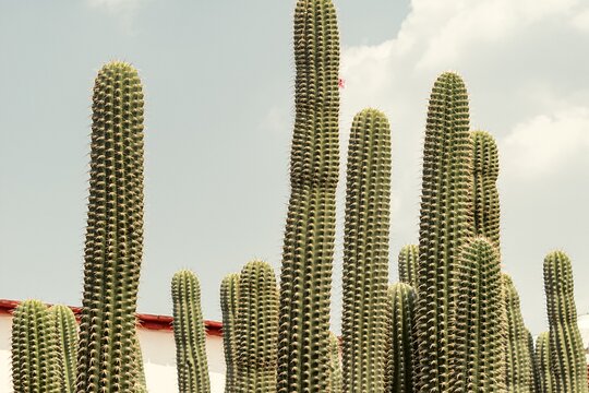 Tour image 12