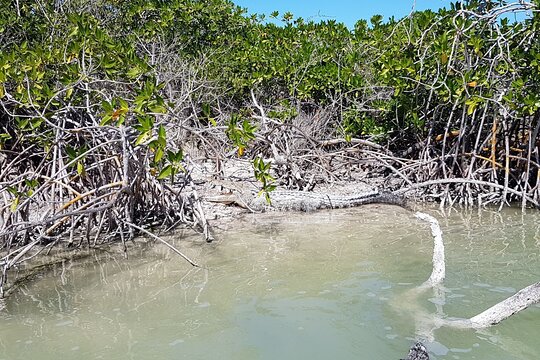 Tour image 10