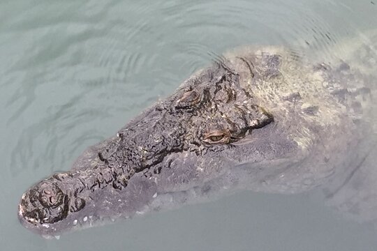 Tour image 12